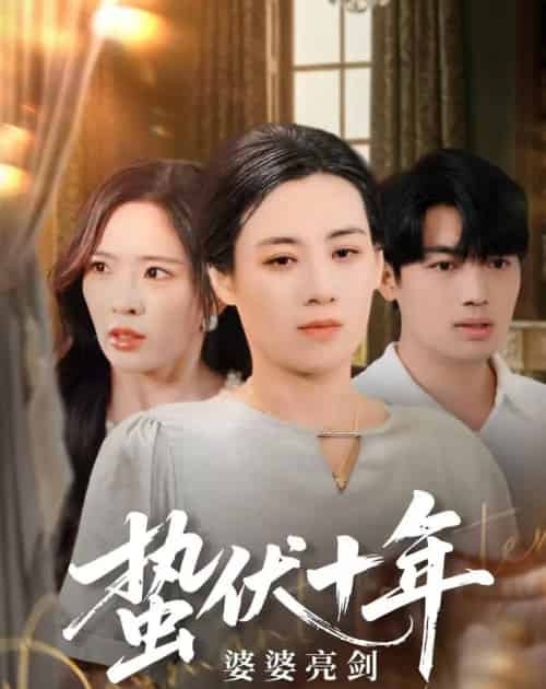 蛰伏十年婆婆亮剑(45集)刘洋&赵兰君-初遇资源网