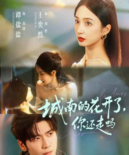 城南的花开了,你还走吗(84集全)王奕然&谭盐盐-初遇资源网