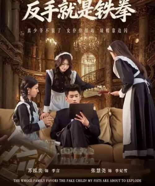 全家逼我当忍者，反手就是铁拳（80集全）苏泓奕＆张慧尧-初遇资源网