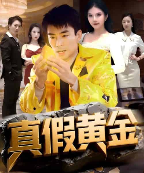 真假黄金(62集全)张瀚文(男)&边心-初遇资源网