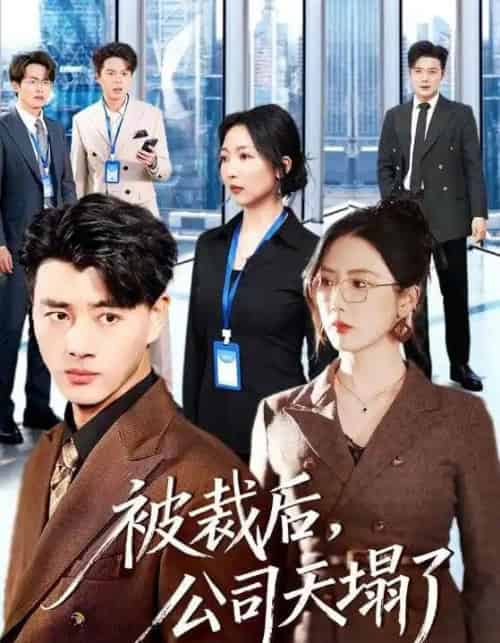 被裁后，公司天塌了（66集全）李进源＆金鑫欣-初遇资源网