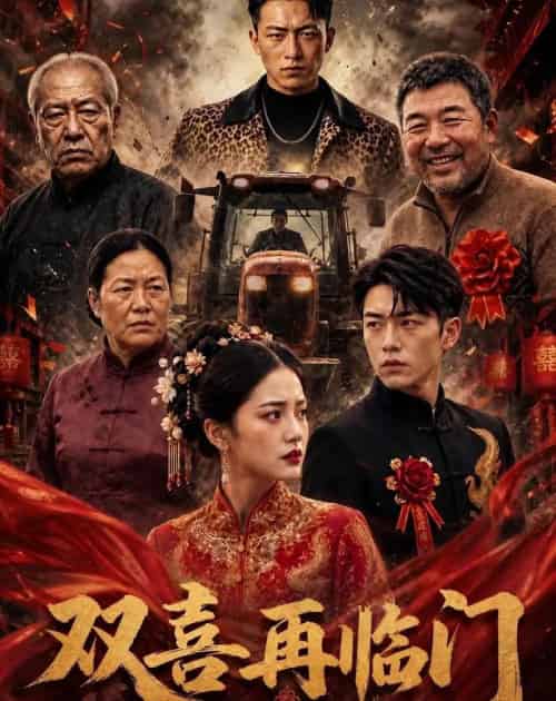 双喜再临门（56集全）AI-初遇资源网