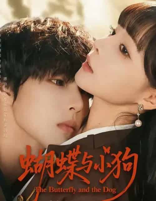 蝴蝶与小狗（70集全）马义炎＆唐七七-初遇资源网