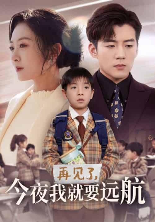 再见了今夜我就要远航(49集全)杜培源&程琳淼-初遇资源网