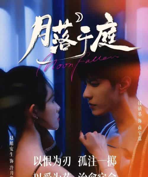 月落于庭 月落于庭