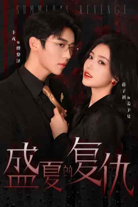 盛夏的复仇（63集全）薛子琪-初遇资源网