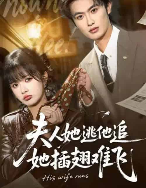 夫人她逃他追,她插翅难飞(101集全)孙嘉俊&祁乐-初遇资源网