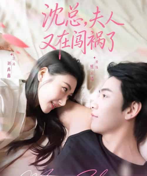 沈总，夫人又在闯祸了（79集全）熊云皓＆刘禹鑫-初遇资源网
