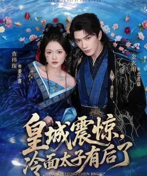 皇城震惊，冷面太子有后了（80集全）金玄雨＆查祎琛-初遇资源网