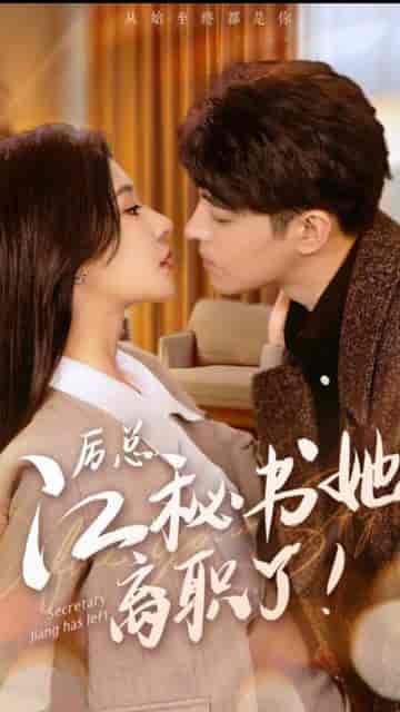 历总,江秘书她离职了(87集)-初遇资源网