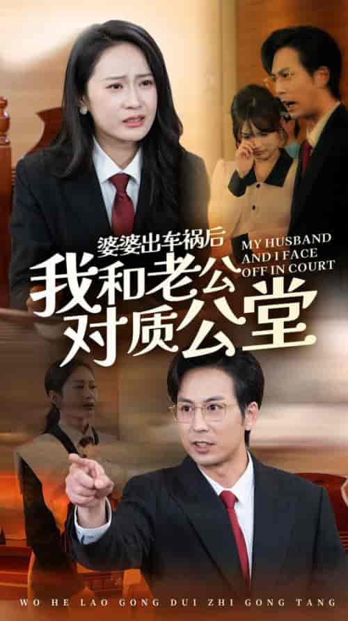 婆婆出车祸后我和老公对质公堂（35集全）王紫轩-初遇资源网