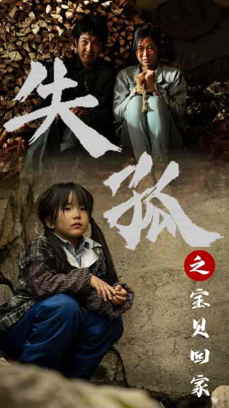 失孤之宝贝回家(71集)-初遇资源网