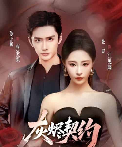 灰烬契约（58集全）孙子航＆张震-初遇资源网