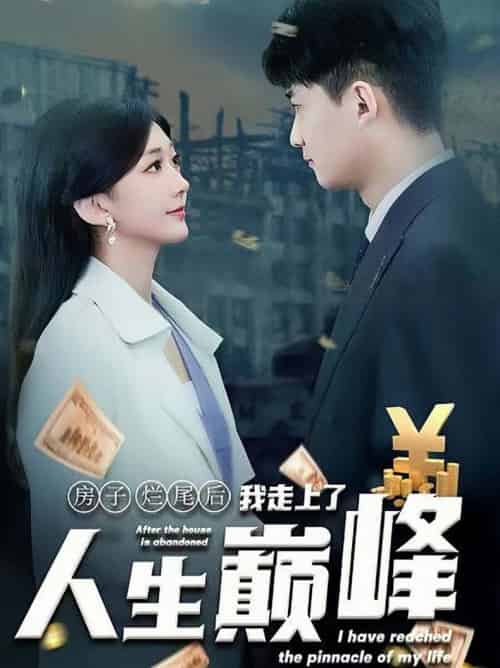 房子烂尾后我走上了人生巅峰(36集全)-初遇资源网