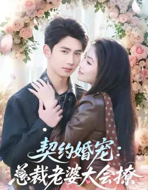 契约婚宠：总裁老婆太会撩（82集全）柳贯一＆骆虹宇-初遇资源网