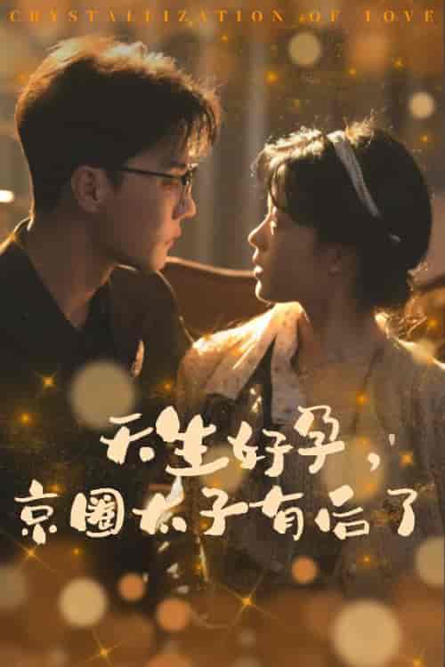 天生好孕京圈太子有后了＆你与光共落人间（30集全）杜亚飞-初遇资源网