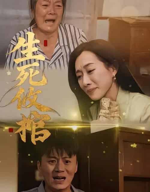 生死攸棺（52集全）戴金麟＆赵靖祎-初遇资源网