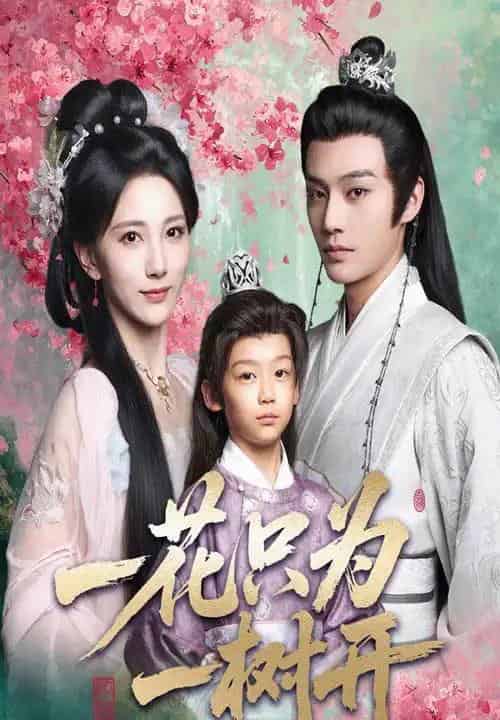 一花只为一树开（54集）柳甯＆高明君-初遇资源网