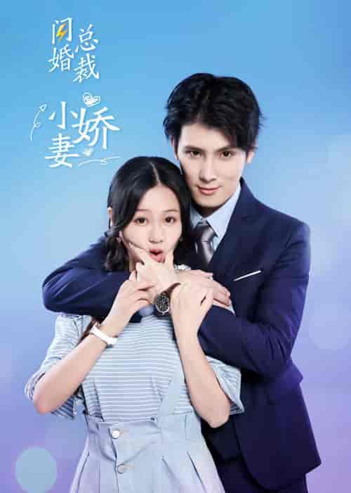 闪婚总裁小娇妻-58集-初遇资源网