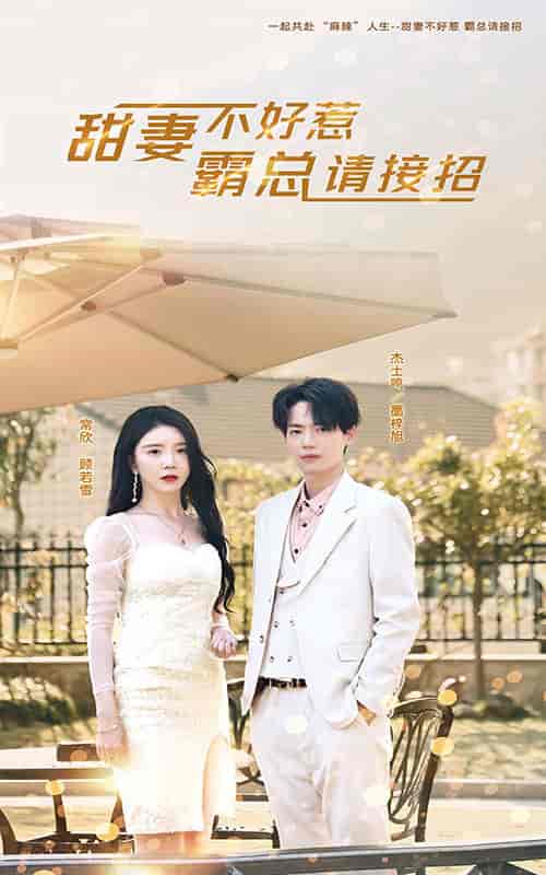 甜妻不好惹，霸总请接招（91集）-初遇资源网