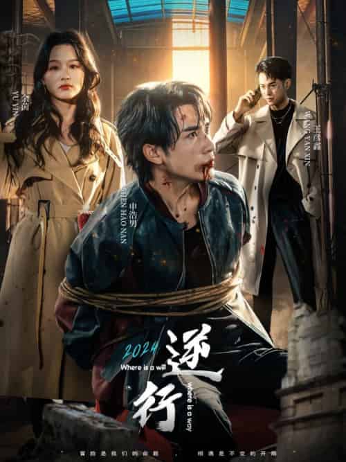 逆行(83集全)申浩男&余茵&王彦鑫-初遇资源网