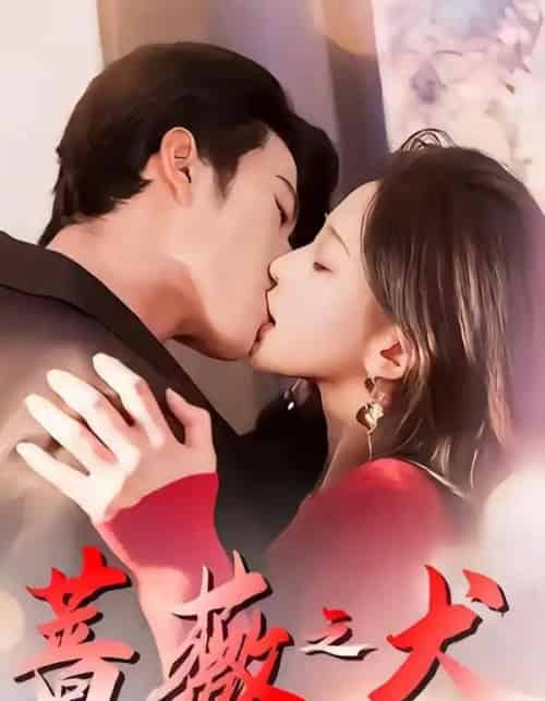 蔷薇之犬(60集全)齐宥澄&韩录锦-初遇资源网