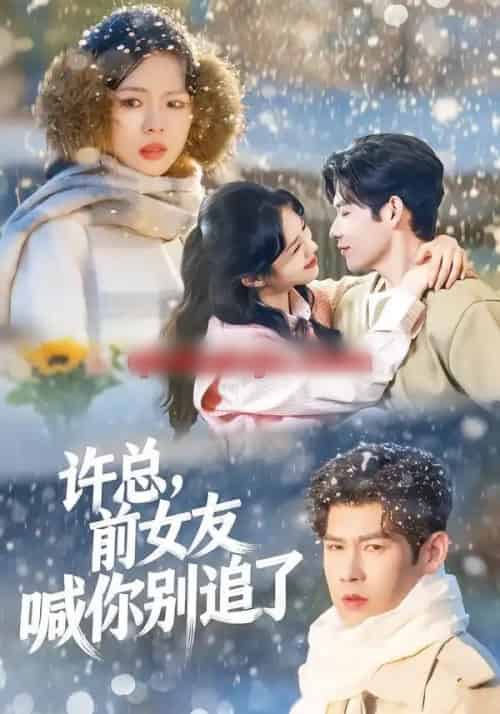 许总，前女友喊你别追了（80集全）王淮璟＆麦伢-初遇资源网