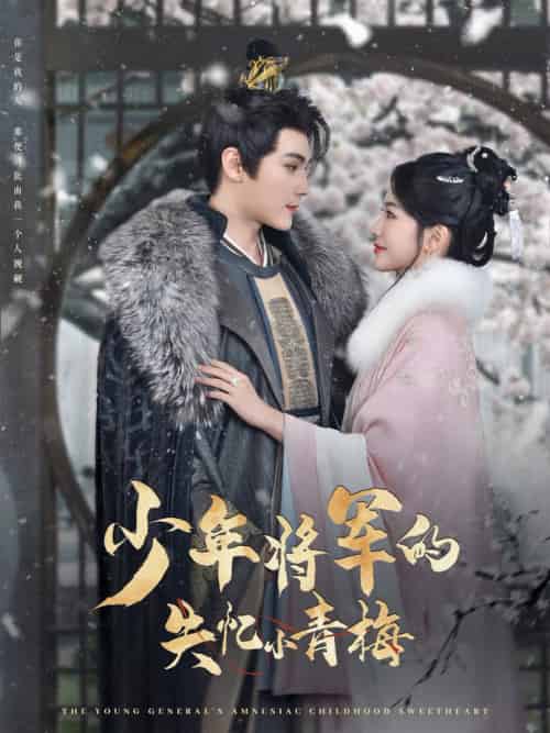 少年将军的失忆小青梅(100集全)赵垣又&牛湘鹭-初遇资源网