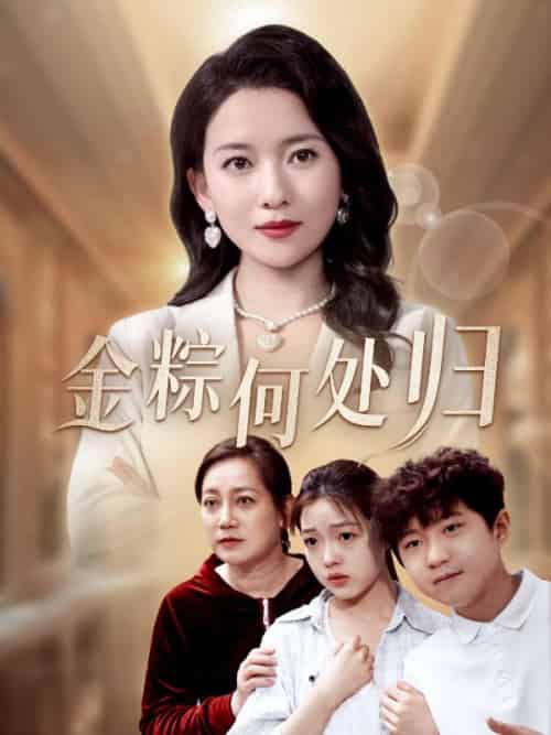 金粽何处归（83集全）苏大力＆苏乐安-初遇资源网