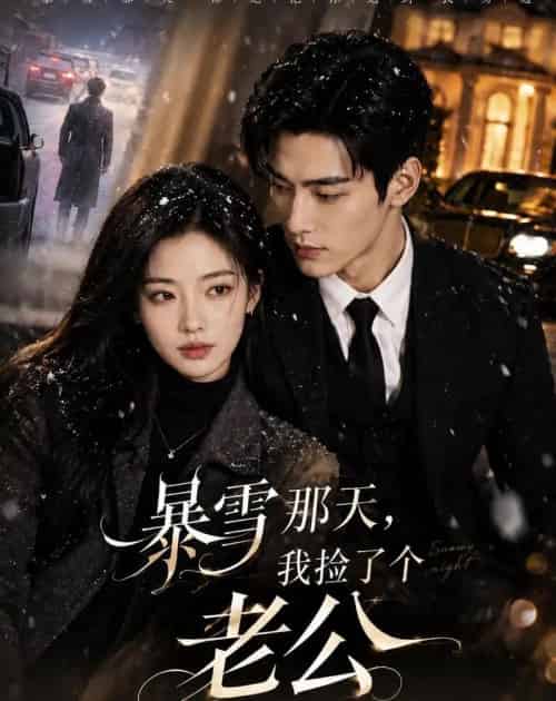 暴雪那天，我捡了个老公（58集全）AI-初遇资源网
