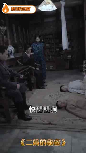 二妈的秘密（77集）-初遇资源网