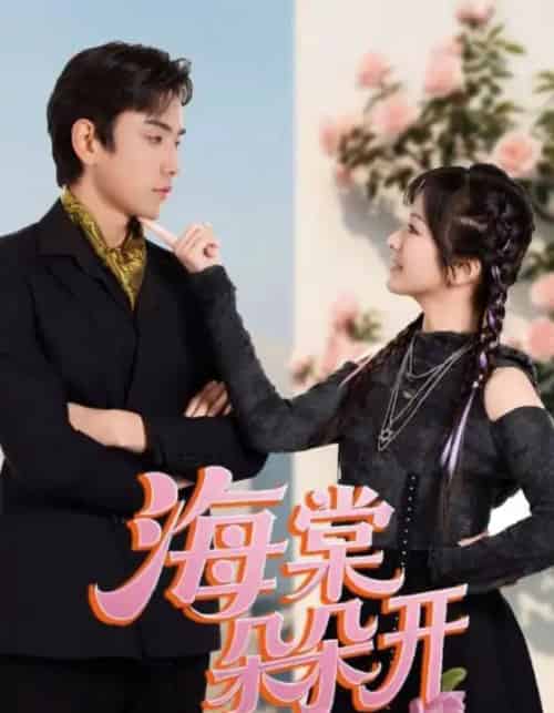 海棠朵朵开（64集全）王子怡＆熊云皓-初遇资源网