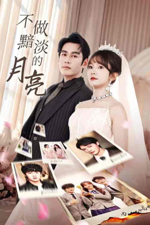 不做黯淡的月亮（33集全）-初遇资源网