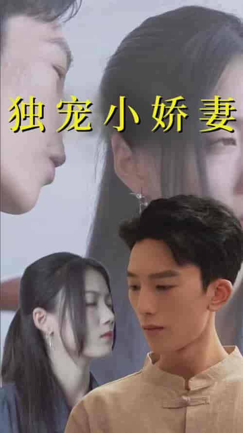 独宠小娇妻(101集全)-初遇资源网