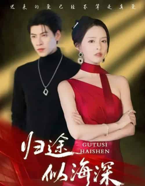 归途似海深（61集全）刘蔓莉＆王为洋-初遇资源网