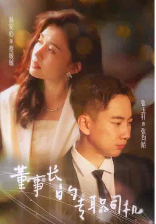 董事长的专职司机（51集）-初遇资源网