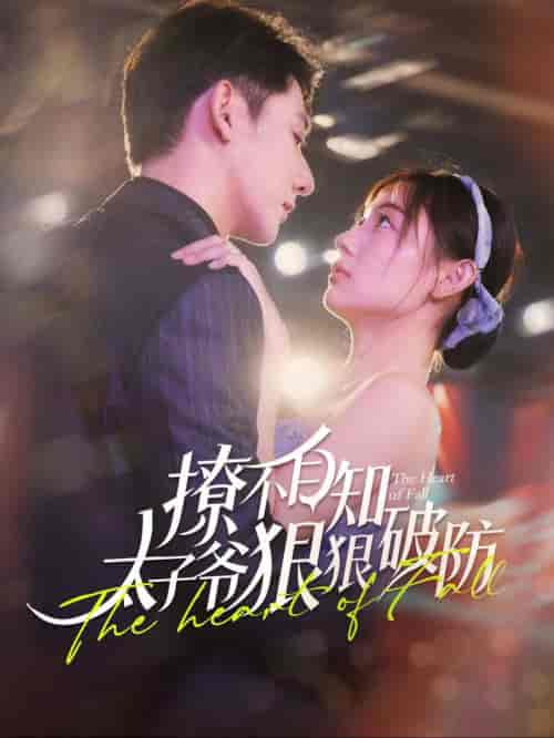 撩不自知太子爷狠狠破防（100集全）于叔＆李田园-初遇资源网