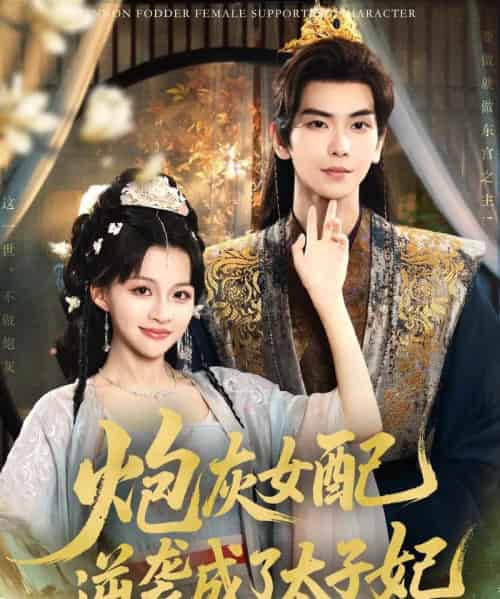 炮灰女配逆袭成了太子妃（82集）常斌＆赵飞雪-初遇资源网