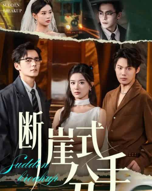 断崖式分手(63集全)余沛杉&王宇婧-初遇资源网