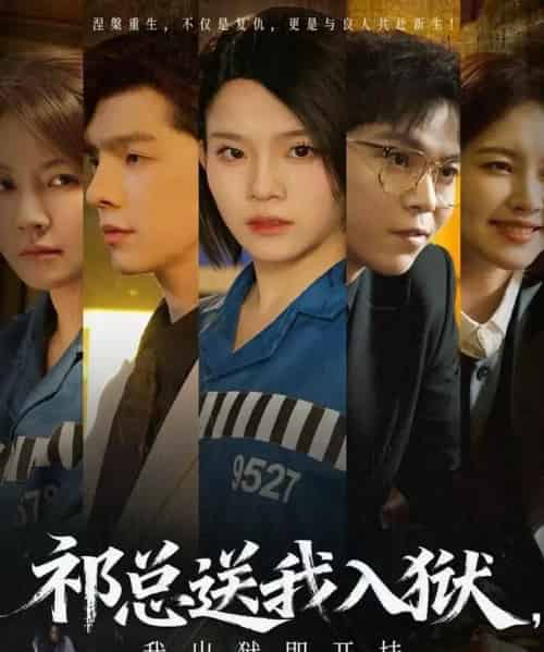 祁总送我入狱，我出狱即开挂（60集全）-初遇资源网
