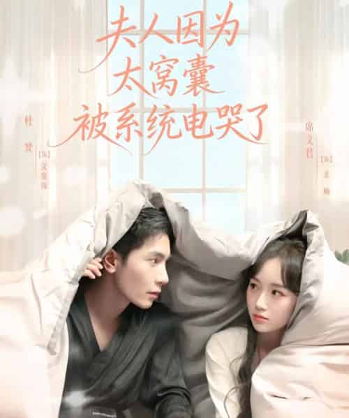 夫人因为太窝囊被系统电哭了（77集全）杜梵＆席文君-初遇资源网