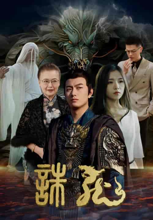 诛龙（100集）-初遇资源网