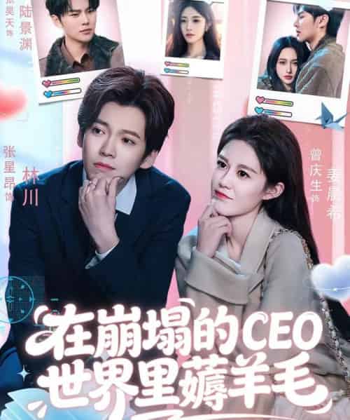 在崩塌的CEO世界里薅羊毛（70集全）张星昂＆曾庆生-初遇资源网