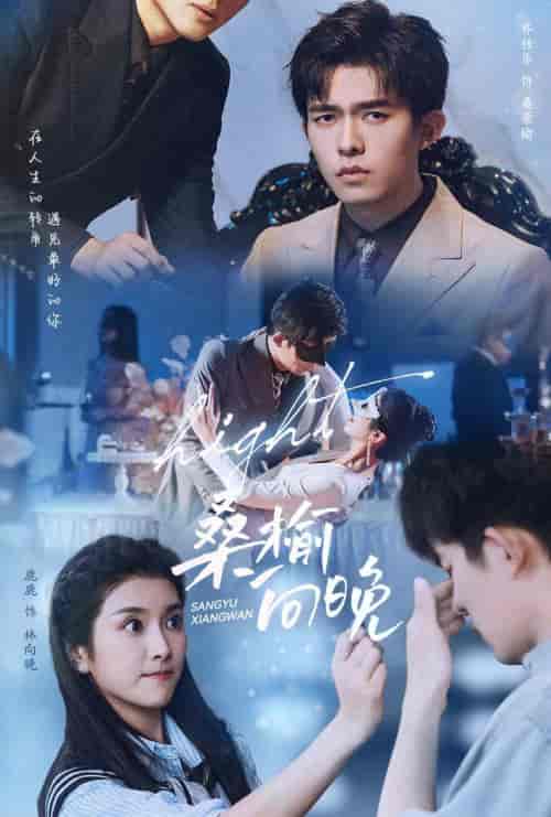 桑榆向晚（65集）卢c鹿鹿-初遇资源网