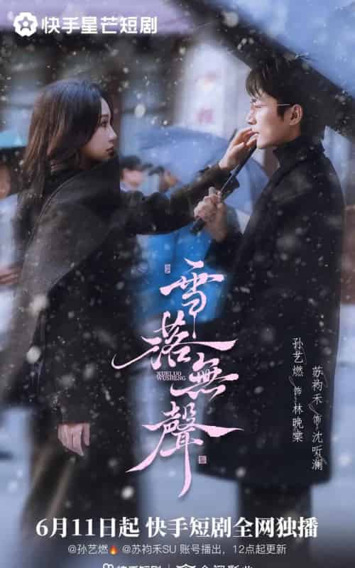 雪落无声(20集全)苏袀禾&孙艺燃-初遇资源网