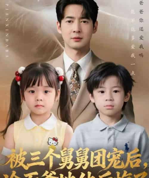 被三个舅舅团宠后，冷面爹地他后悔了（72集全）丁映智＆贺颖怡-初遇资源网