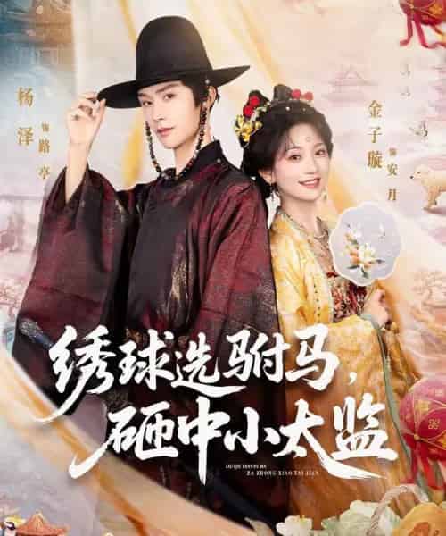 绣球选驸马，砸中小太监（81集全）杨泽＆金子璇-初遇资源网