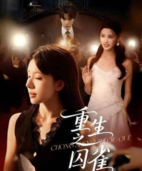 重生之囚雀（75集）张萓紘＆蒋开鑫-初遇资源网