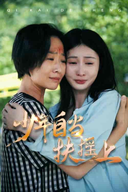 少年自当扶摇上（30集）范佳琪-初遇资源网