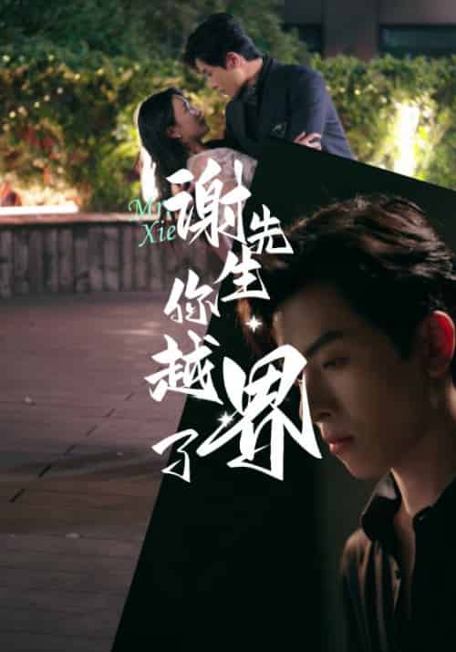 谢先生你越界了（38集全）谢瑾之＆叶可妮-初遇资源网